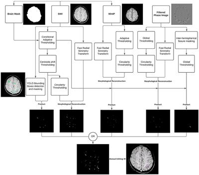 Cerebral Microbleeds Assessment and Quantification in COVID-19 Patients With Neurological Manifestations